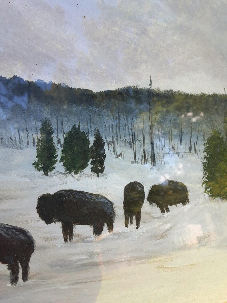 American Buffalo - Bison Watercolor Framed And Matted - Bazzy's