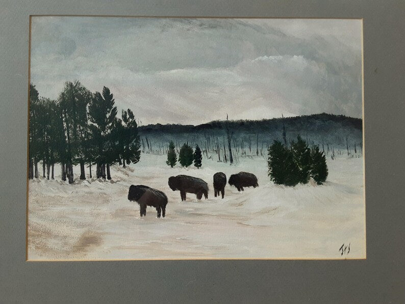 American Buffalo - Bison Watercolor Framed And Matted - Bazzy's