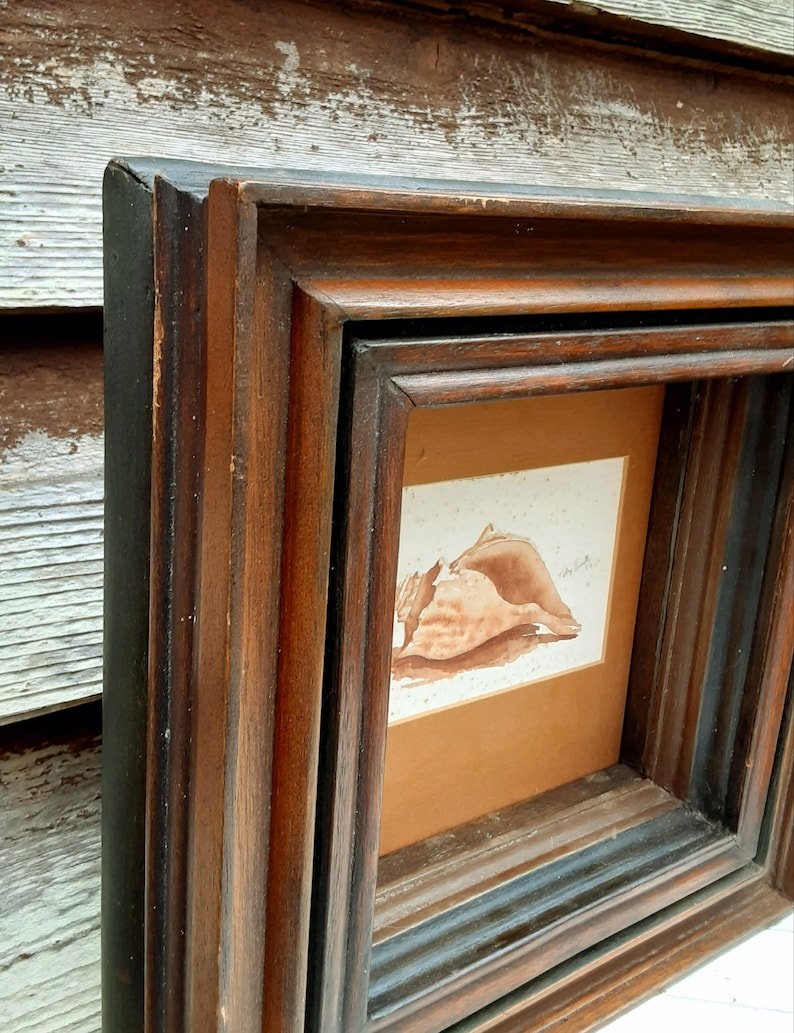 Antique Deep Well Frame - Toby Smith Conch Shell Watercolor - Bazzy's