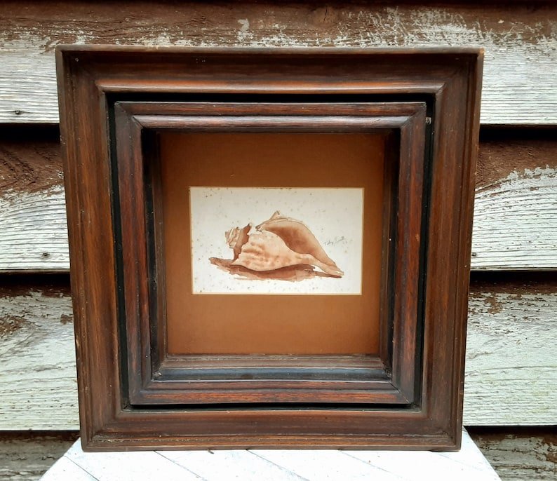 Antique Deep Well Frame - Toby Smith Conch Shell Watercolor - Bazzy's