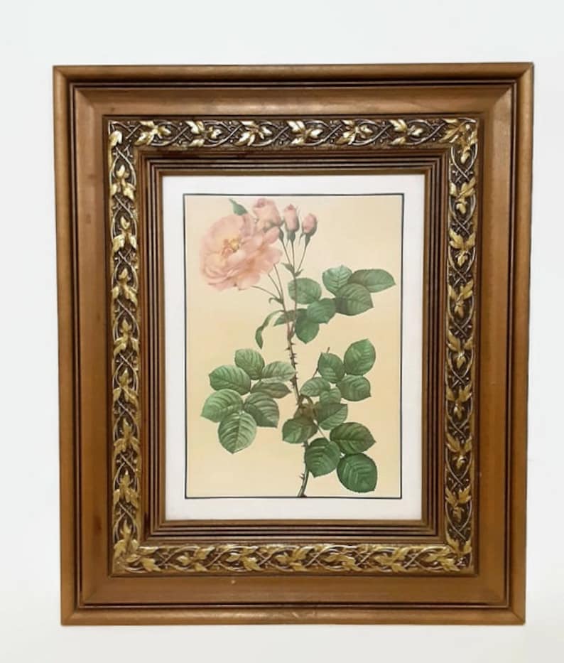 Vintage Pierre-Joseph Redoute Pink Roses Lithographs