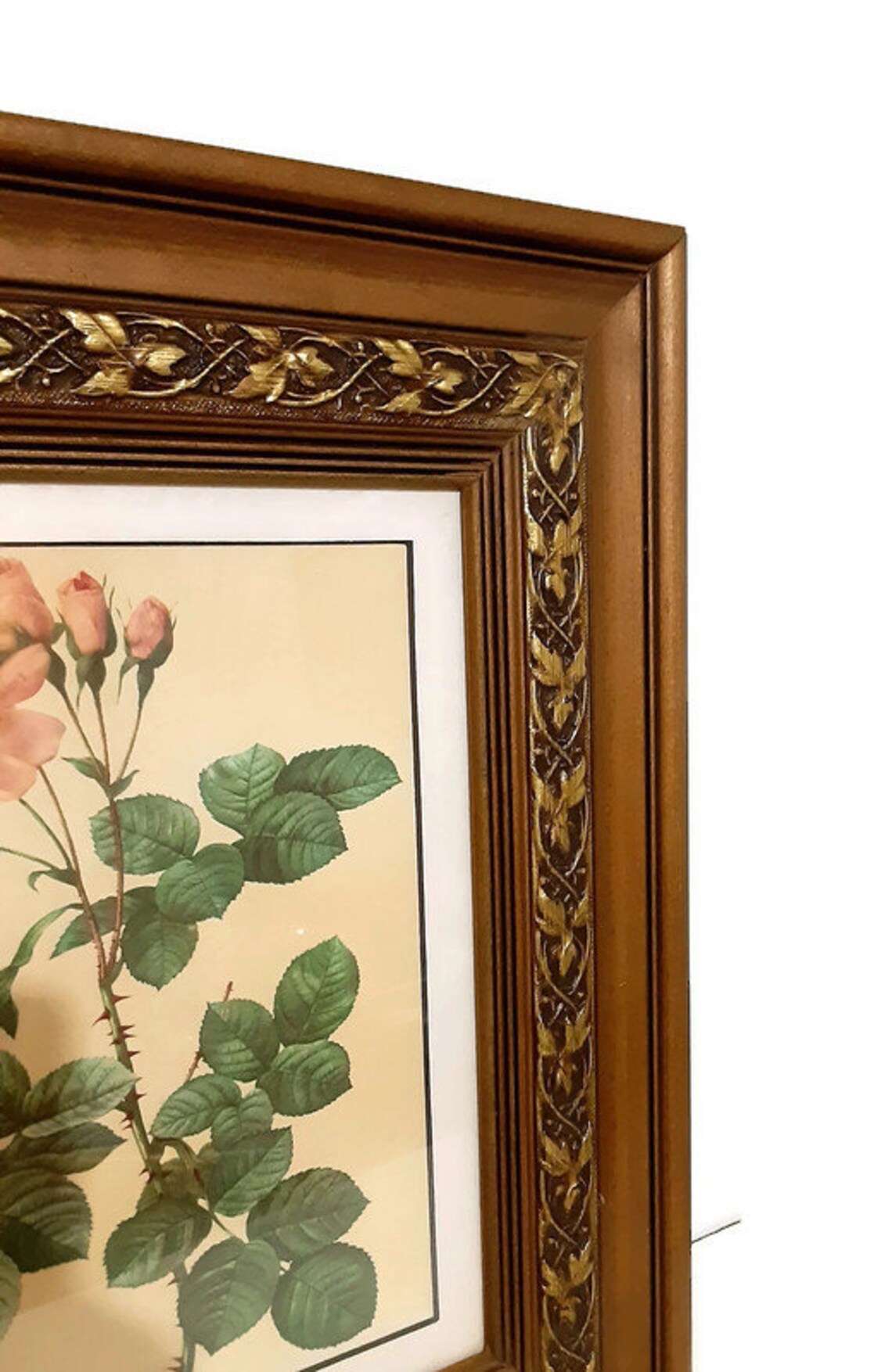 Vintage Pierre-Joseph Redoute Pink Roses Lithographs