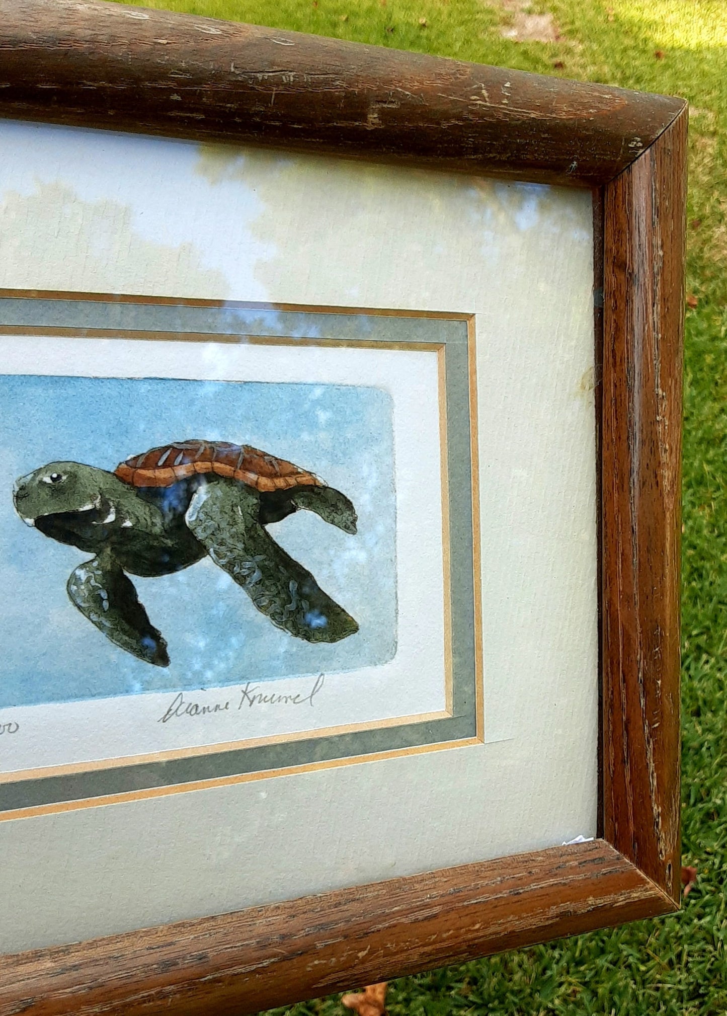 Sea Turtle Watercolor By Dianne Krumel - Gulf Coast Artist