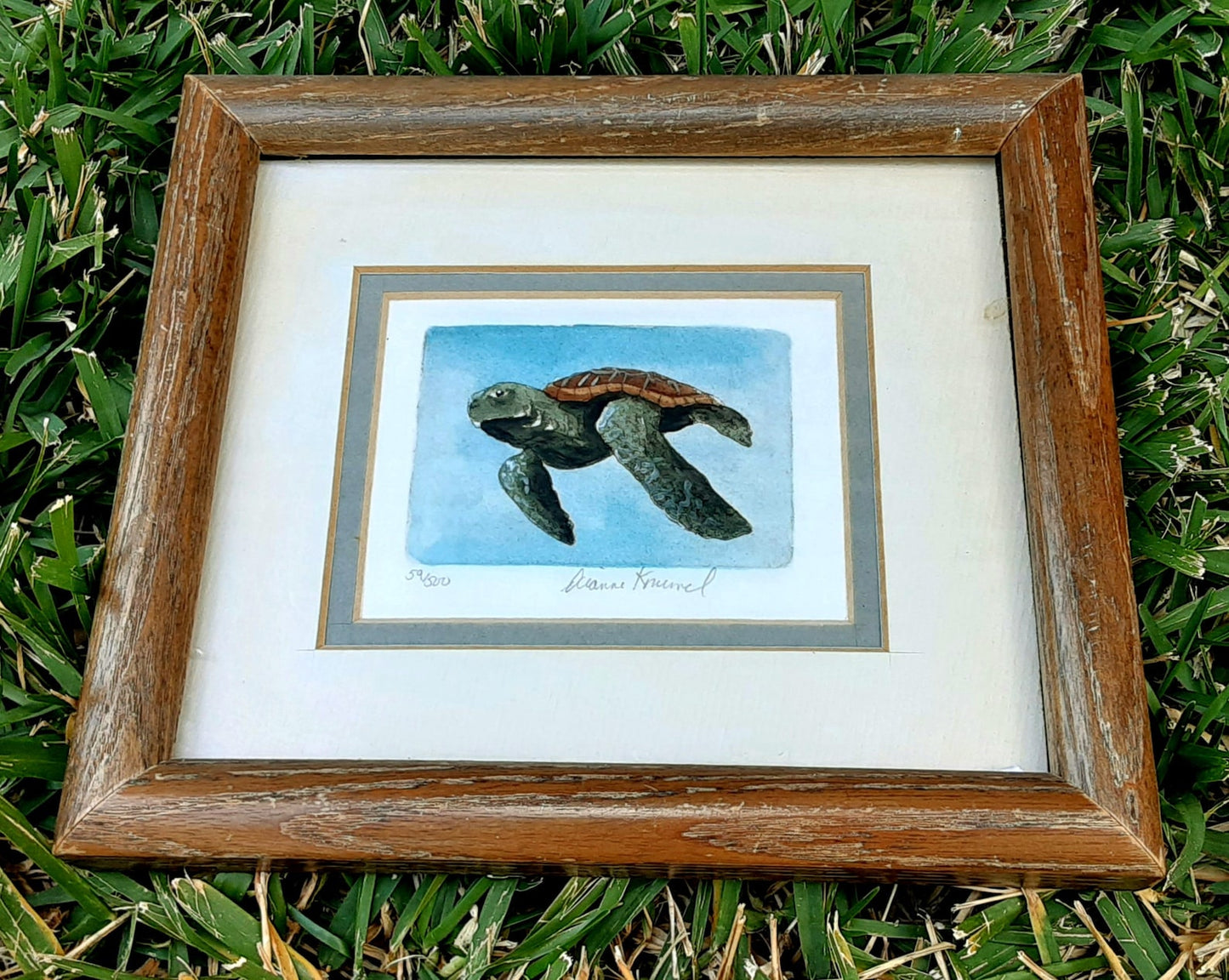 Sea Turtle Watercolor By Dianne Krumel - Gulf Coast Artist