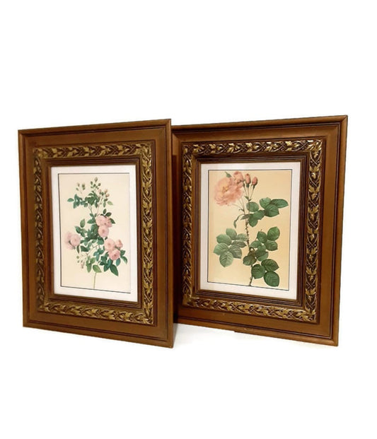 Vintage Pierre-Joseph Redoute Pink Roses Lithographs