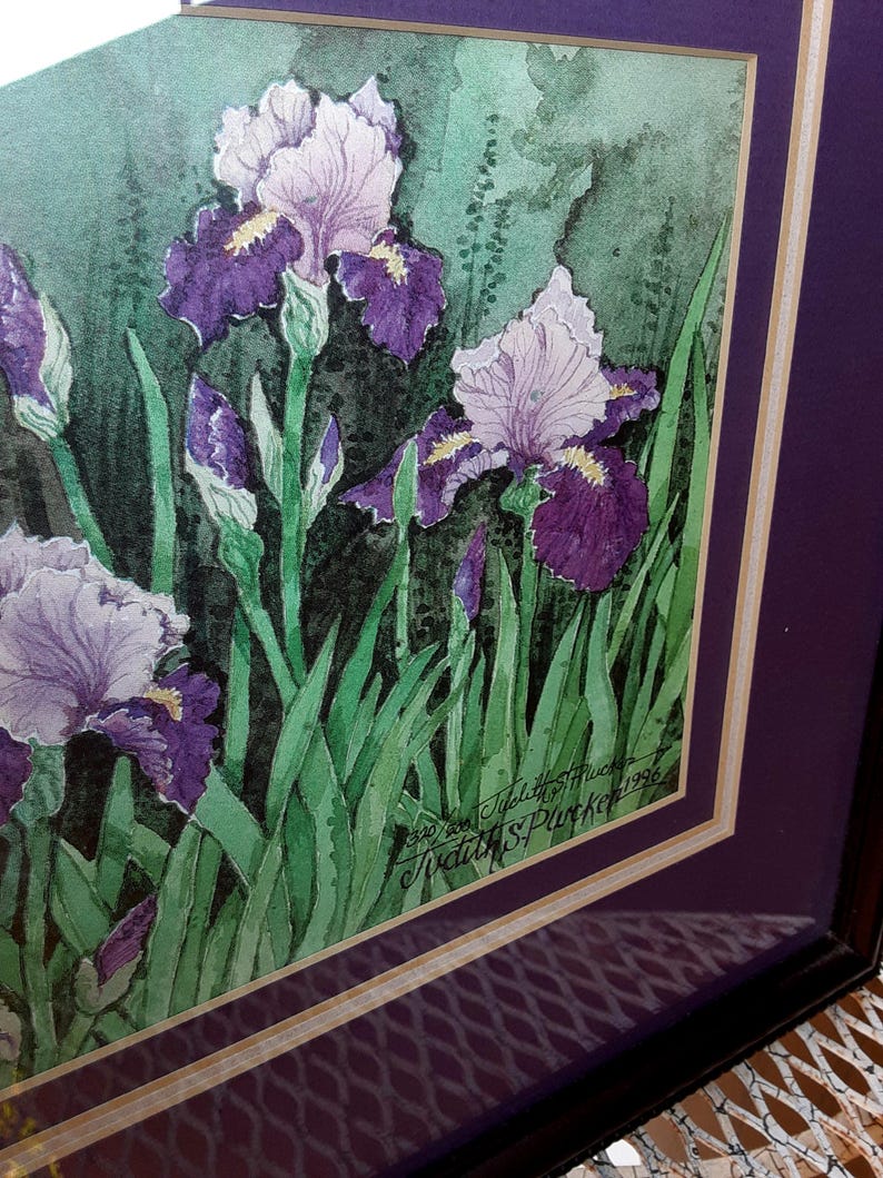 Iris Garden Watercolor Print By Judith Plucker - Framed Matted Botanical Artwork