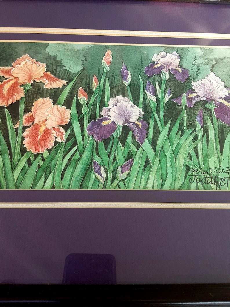 Iris Garden Watercolor Print By Judith Plucker - Framed Matted Botanical Artwork